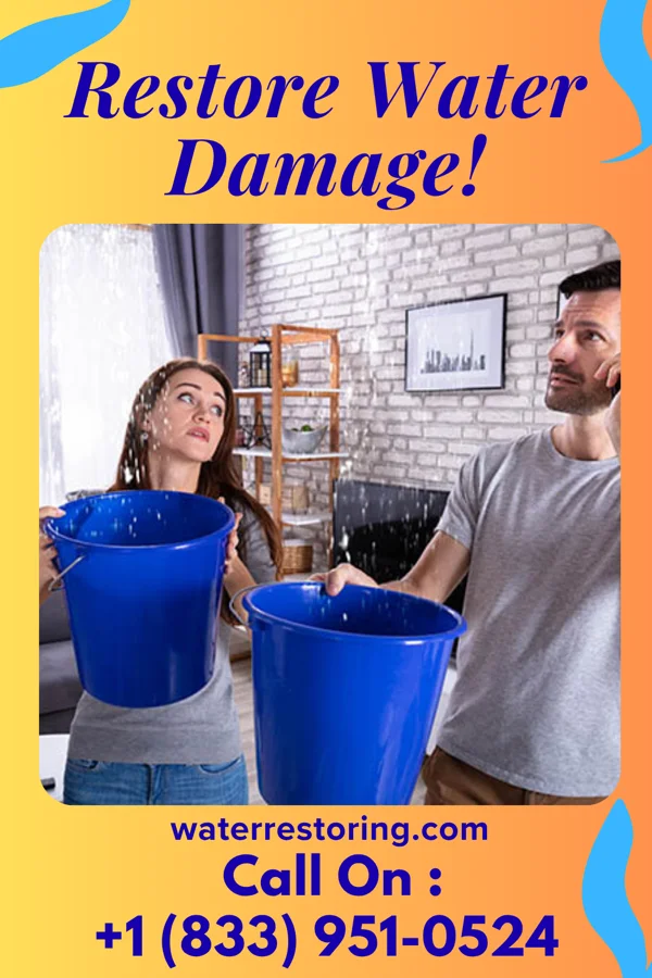 water restoration Prime Drying Experts Cheverly