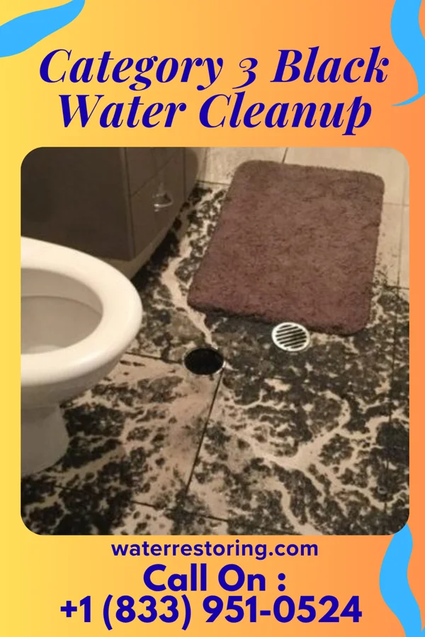 Category 3 Black Water Cleanup in Cheverly, MD