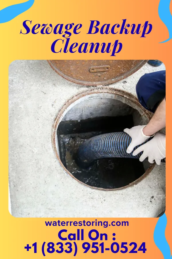 Sewage Backup Cleanup in Cheverly, MD